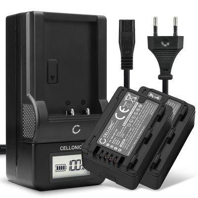 2x Bateria Panasonic VW-VBT190 VW-VKB180 VW-VBY100 1780mAh + Cargador rápido VW-BC10 - 2 baterías para cámaras Panasonic HC-V180 HC-V10 HC-V100 HC-V160 HC-V270 HC-V777 HC-V800 HC-VXF990 HC-VX980