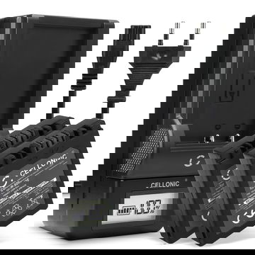 2x Bateria para cámaras Panasonic Lumix DMC-FZ10 DMC-FZ20 DMC-FZ5 -FZ1 -FZ15 -FZ2 -FZ3 DMC-FC20 - CGA-S002e CGA-S002e-1B CGR-S002 DMW-BM7 700mAh + Cargador rápido Baterías recargables