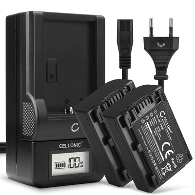 2x Bateria para cámaras Sony FDR-AX33 AX53 AX100e HDR-PJ810 PJ530 PJ330 PJ260 HDR-CX625 CX900 HDR-XR550 NEX-VG900 - NP-FV70A NP-FV50A NP-FV30 NP-FV90 NP-FV100A 650mAh + Cargador rápido Baterías recargables