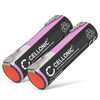 2x Batería 2900mAh