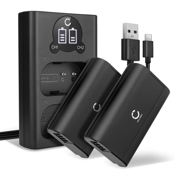 2x Batería para cámaras - DMW-BLJ31 2200mAh + Cargador Doble DMW-BTC14E Batería de repuesto