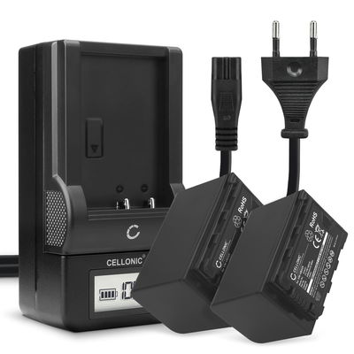 2x Bateria para cámaras Panasonic HC-X1000, HC-X1500, HC-MDH3, AG-AC8, HC-X2000 - AG-VBR59 VW-VBD58 CGA-D54 4400mAh + Cargador rápido AG-BRD50 Baterías recargables