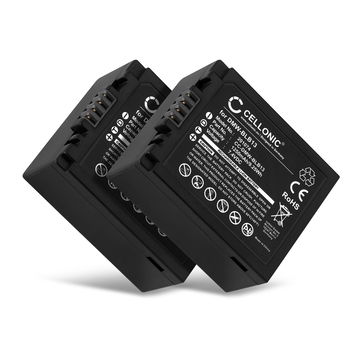 2x Bateria Panasonic DMW-BLB13,-BLB13E,-BLB13GK,-BLB13PP 1250mAh - DMW-BLB13, Batería recargable para camaras Panasonic Lumix DMC-G10, DMC-G2, DMC-GH1, DMC-G1, DMC-GF1